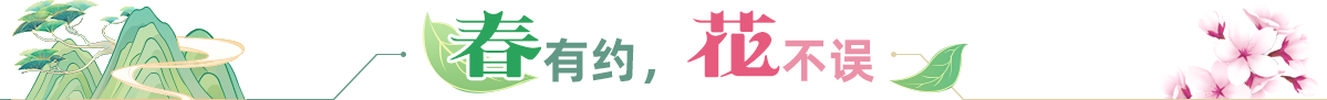 春有約，花不誤